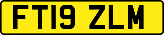 FT19ZLM