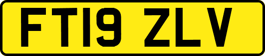 FT19ZLV