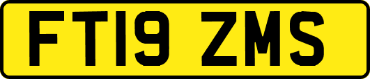 FT19ZMS