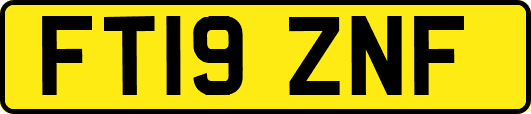 FT19ZNF