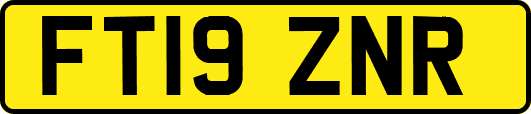 FT19ZNR
