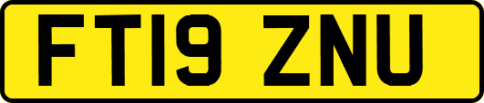 FT19ZNU
