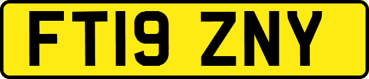 FT19ZNY