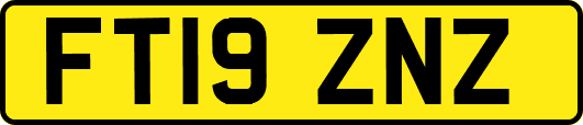 FT19ZNZ