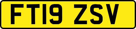 FT19ZSV