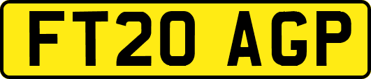 FT20AGP