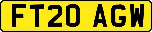 FT20AGW