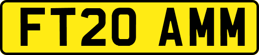 FT20AMM