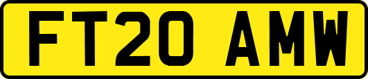 FT20AMW