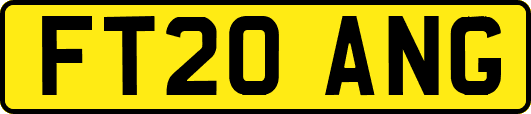 FT20ANG