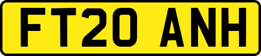 FT20ANH