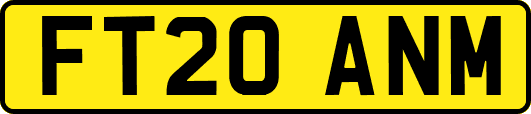 FT20ANM