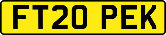 FT20PEK