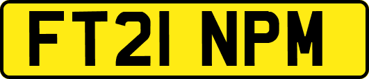 FT21NPM