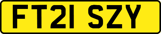 FT21SZY