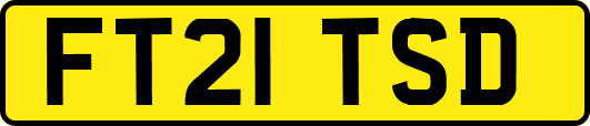 FT21TSD