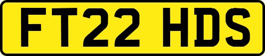 FT22HDS