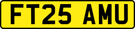 FT25AMU