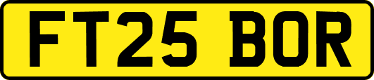 FT25BOR