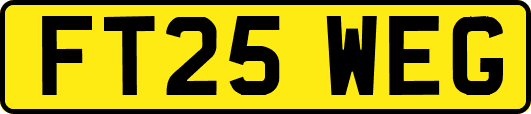 FT25WEG