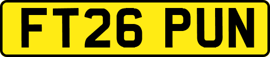 FT26PUN
