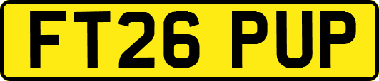 FT26PUP