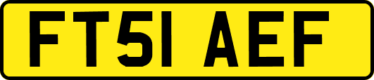 FT51AEF