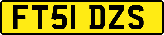 FT51DZS