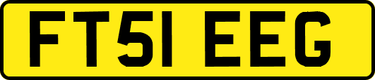 FT51EEG