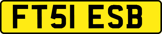 FT51ESB