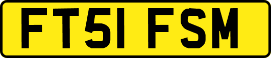 FT51FSM