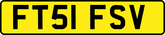 FT51FSV