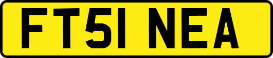 FT51NEA