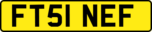 FT51NEF