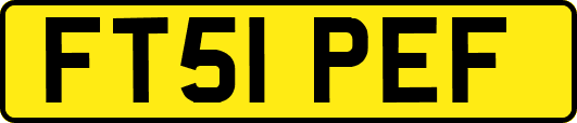 FT51PEF