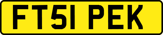 FT51PEK