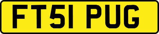 FT51PUG