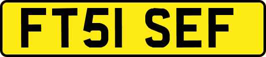 FT51SEF