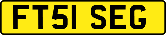 FT51SEG