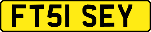 FT51SEY