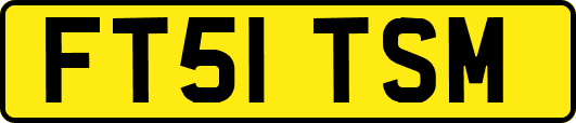 FT51TSM