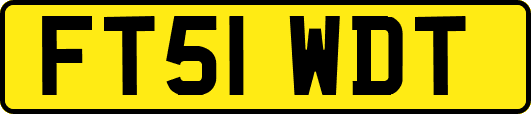 FT51WDT