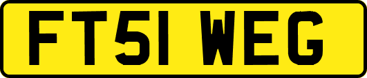 FT51WEG