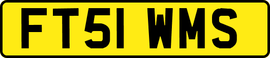FT51WMS