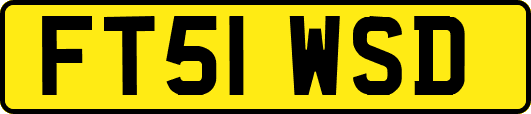 FT51WSD