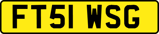 FT51WSG