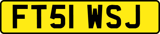 FT51WSJ