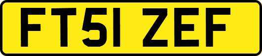 FT51ZEF