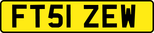 FT51ZEW