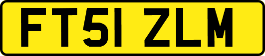 FT51ZLM